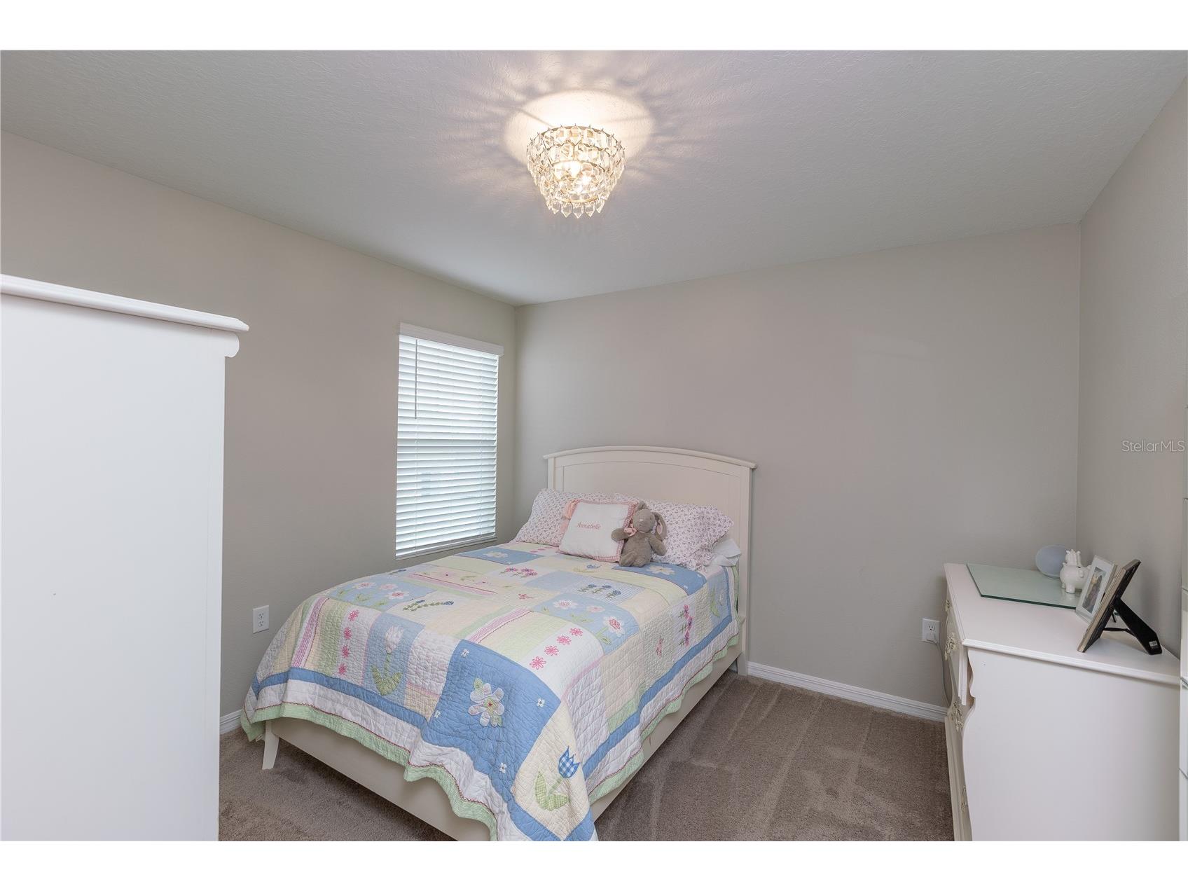 34327 Verbena Street Wesley Chapel FL 33545 TB8507099 image19