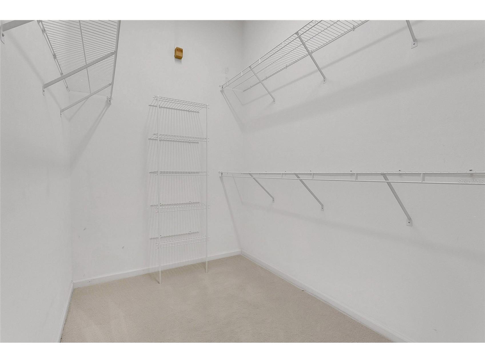 3433 Clear Stream Drive Orlando FL 32822 - VENTURA CC WATERWAY O6395789 image18