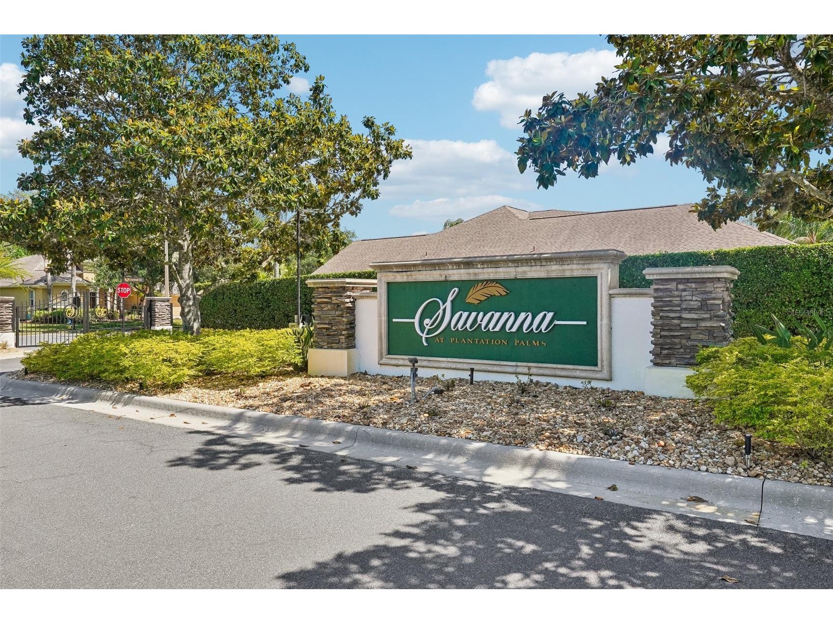 3433 Leaf Lake Drive Land O Lakes FL 34639 TB8501630 image2