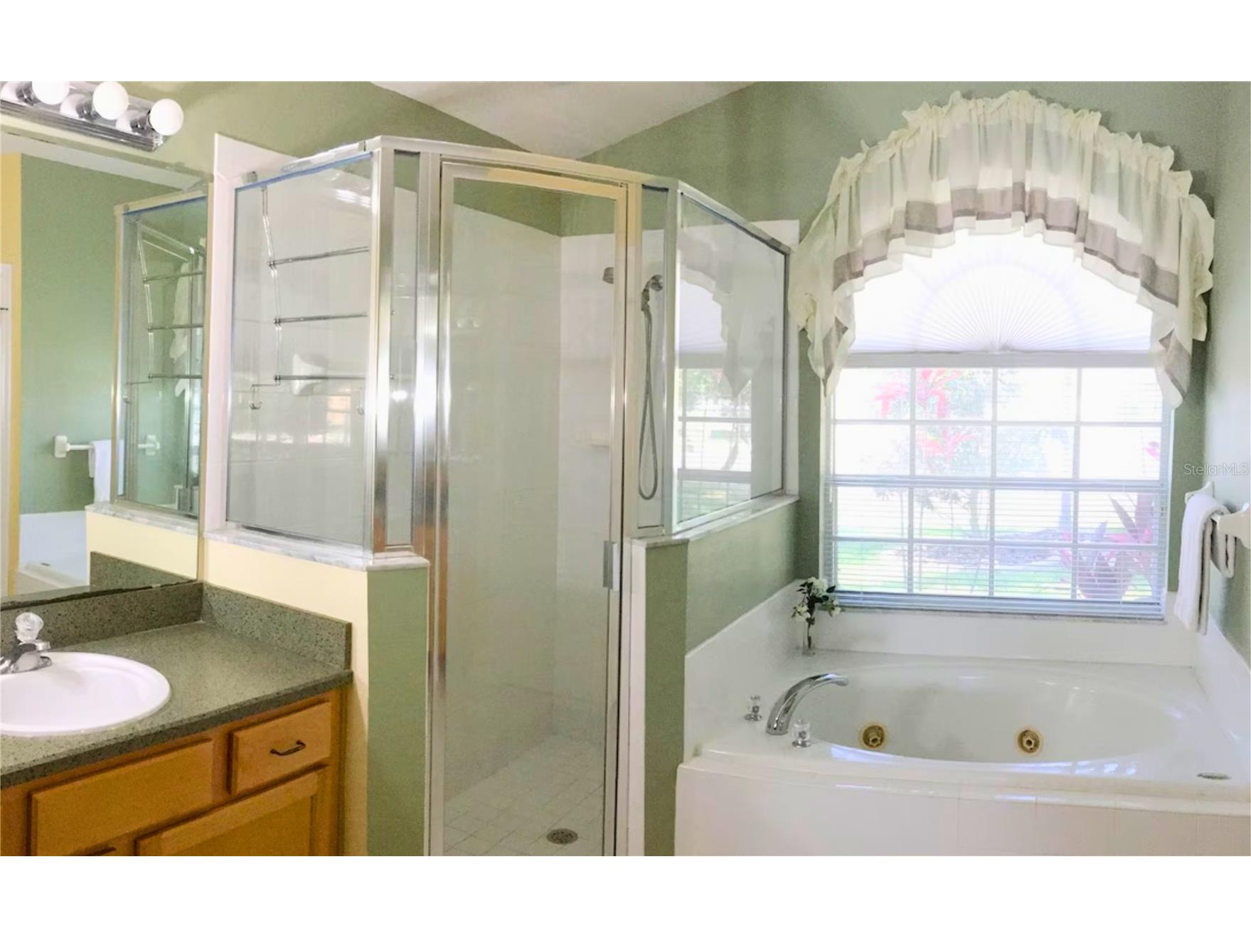 3433 Swallow Hill Street Clermont FL 34714 O6398626 image17