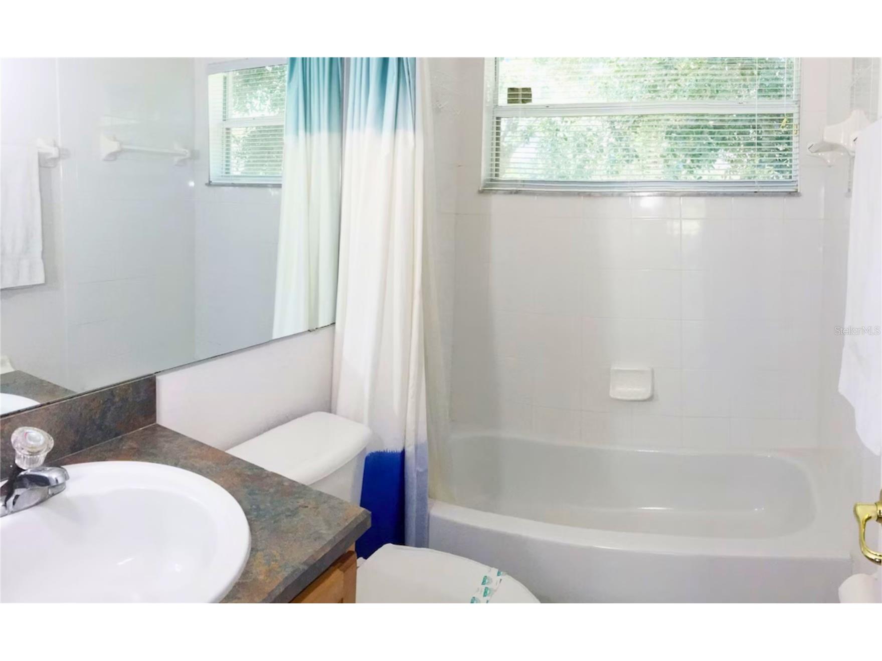 3433 Swallow Hill Street Clermont FL 34714 O6398626 image28