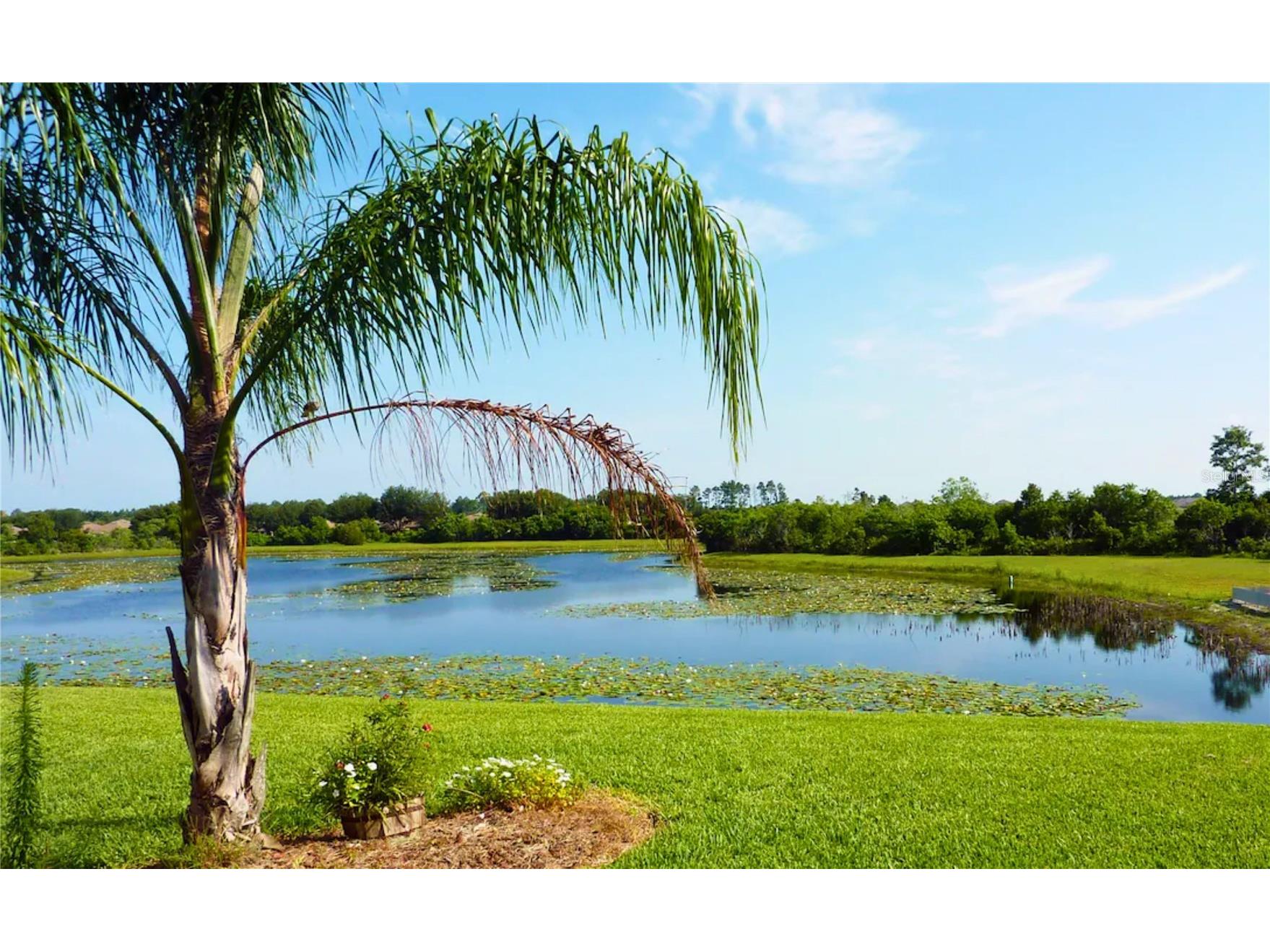 3433 Swallow Hill Street Clermont FL 34714 O6398626 image42