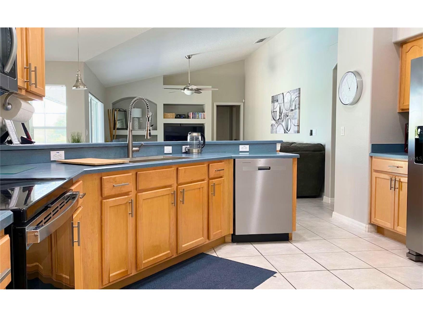 3433 Swallow Hill Street Clermont FL 34714 O6398626 image9