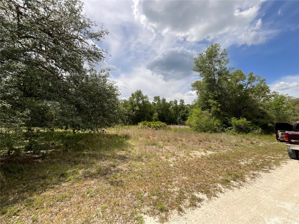 34331 Rim Rock Street Webster FL 33597 G5096528 image5