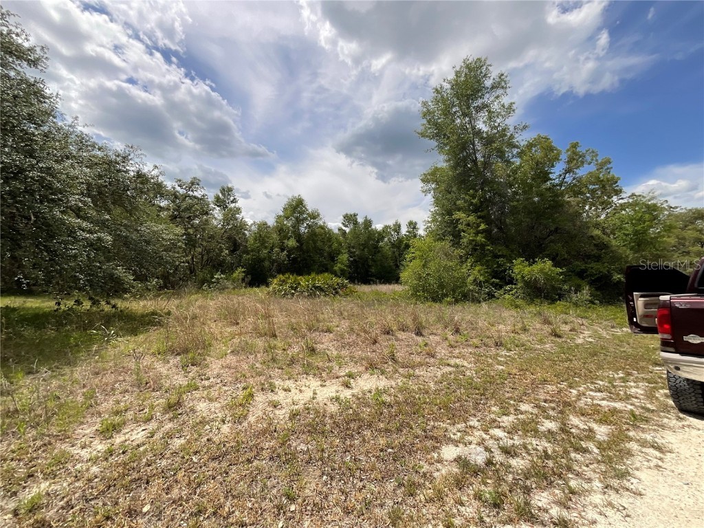 34331 Rim Rock Street Webster FL 33597 G5096528 image6