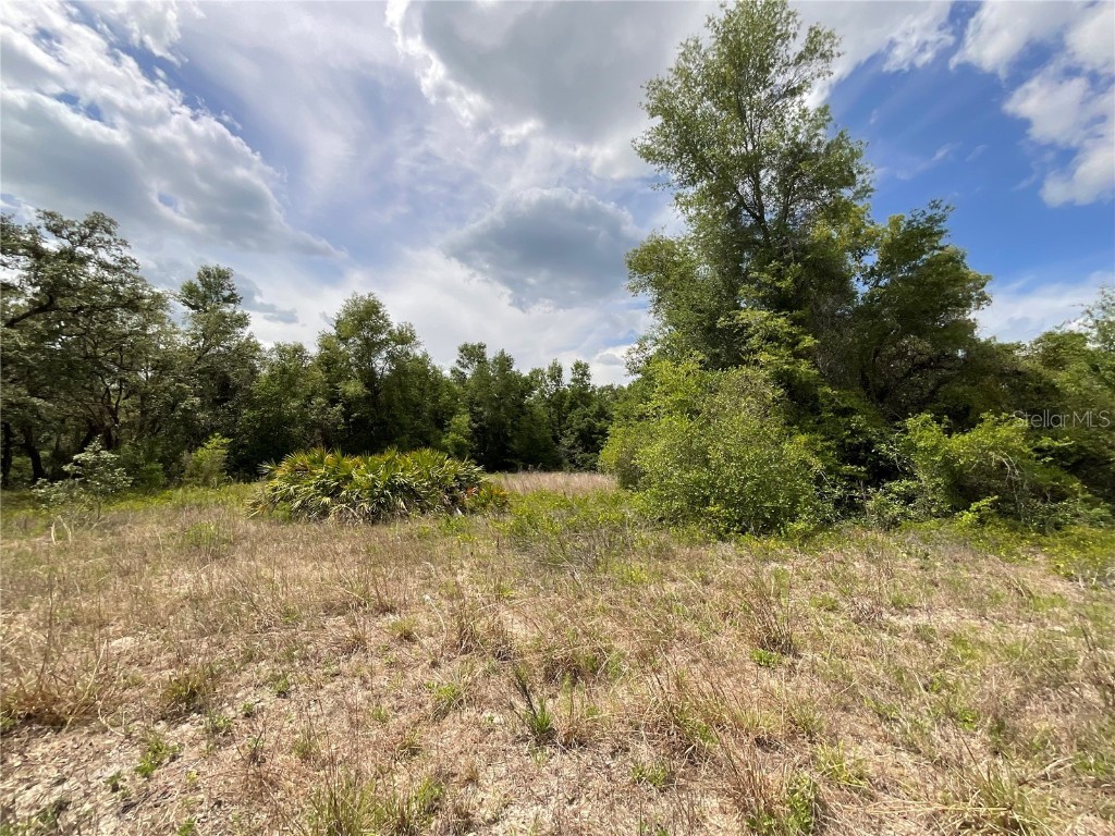 34331 Rim Rock Street Webster FL 33597 G5096528 image8