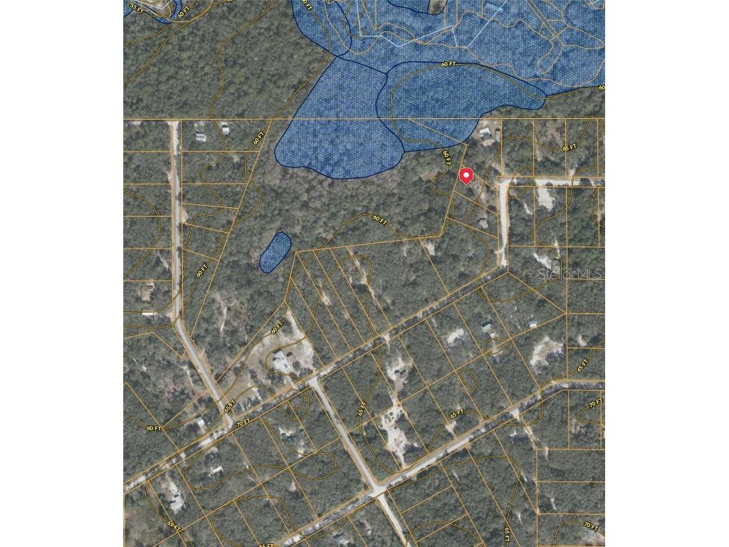 34331 Rim Rock Street Webster FL 33597 G5096528 image9