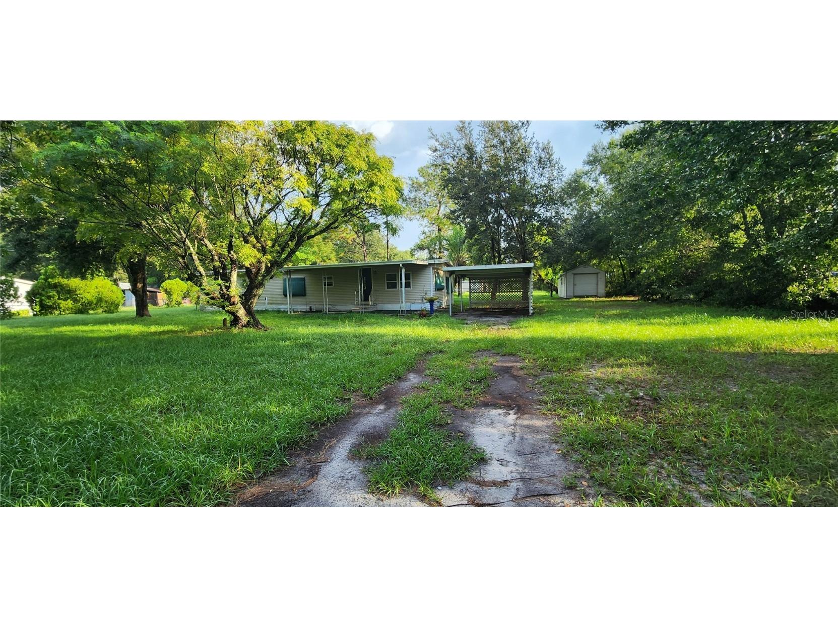 34335 Sue Drive Wesley Chapel FL 33543 T3467404 image1