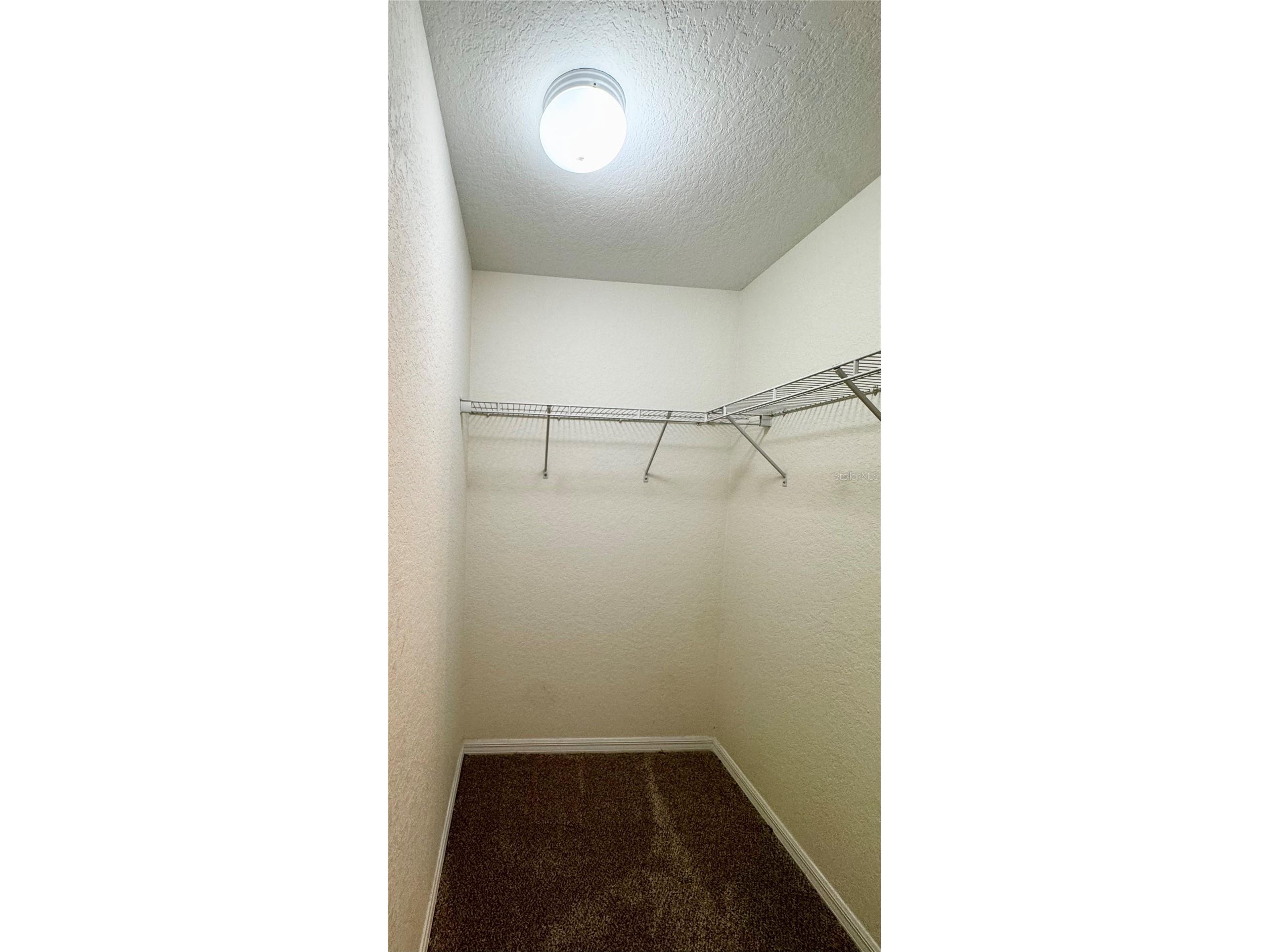 34336 Arbor Street Dade City FL 33523 W7886568 image16