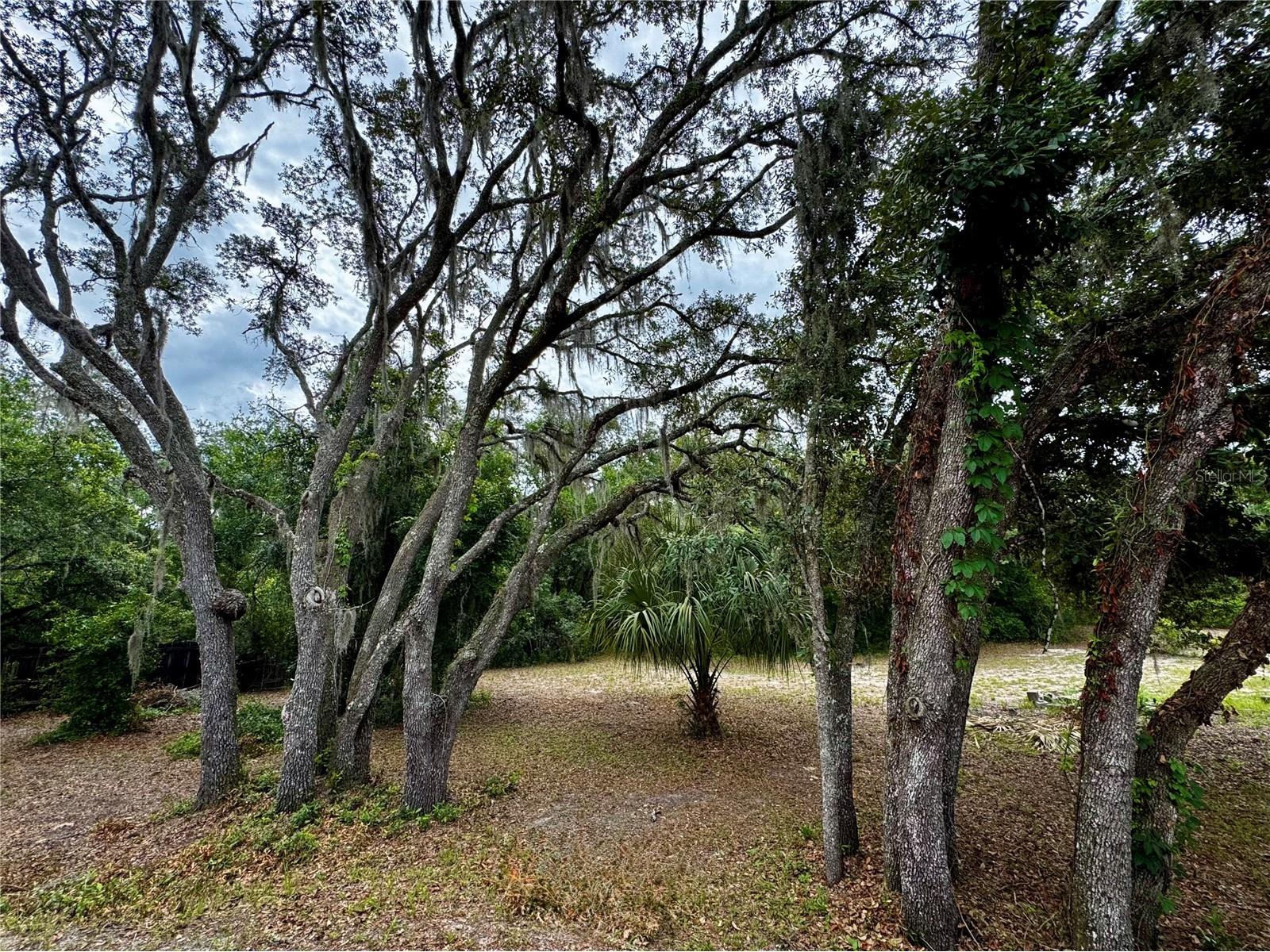 34336 Arbor Street Dade City FL 33523 W7886568 image26