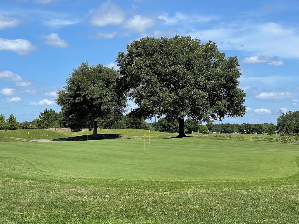 3434 Sagebrush Street Harmony FL 34773 O6371258 image16