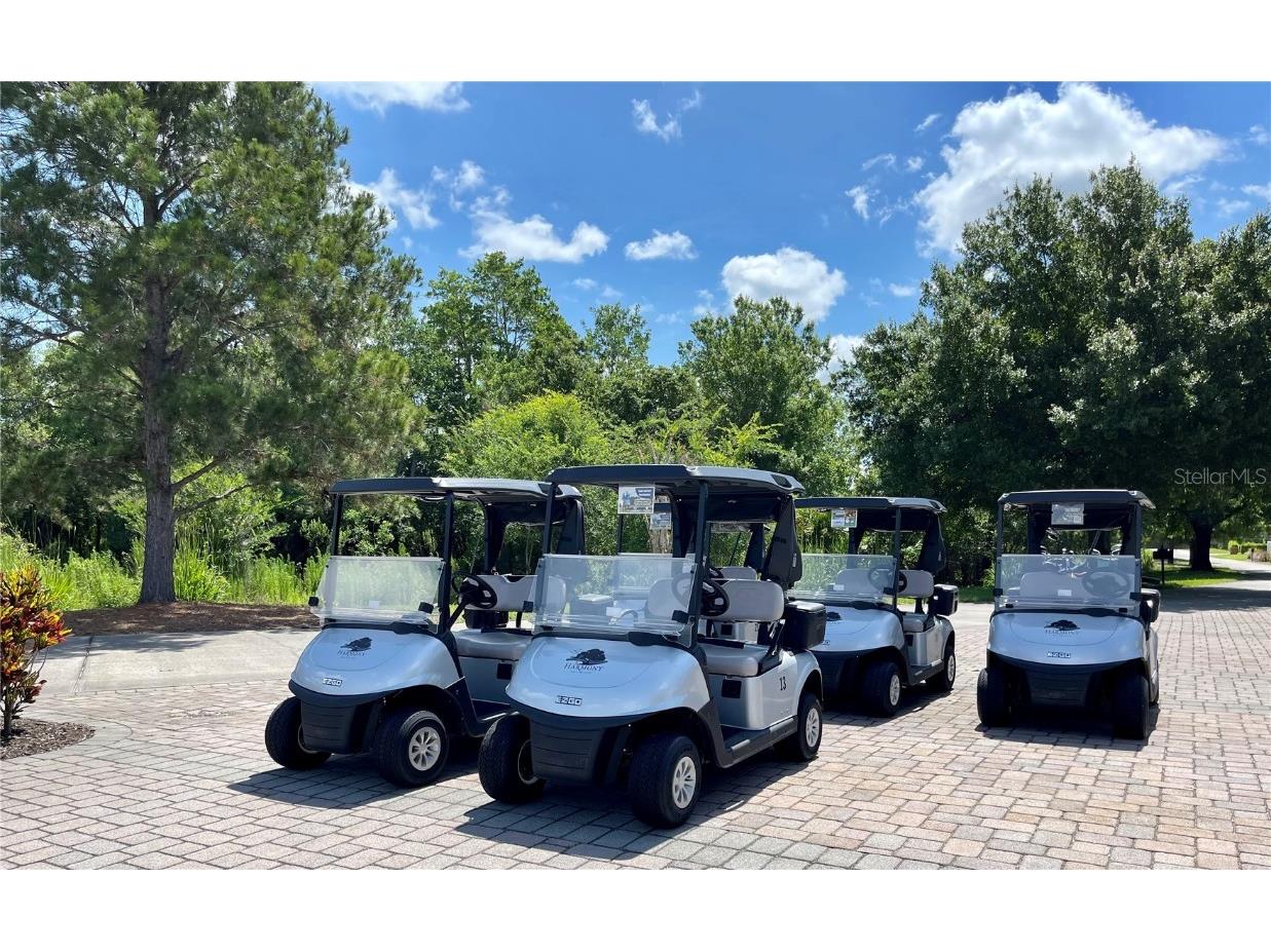 3434 Sagebrush Street Harmony FL 34773 O6371258 image20