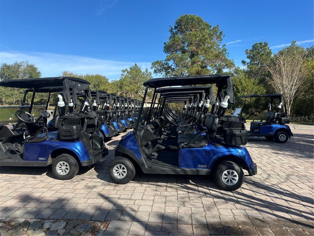 3434 Sagebrush Street Harmony FL 34773 O6371258 image21