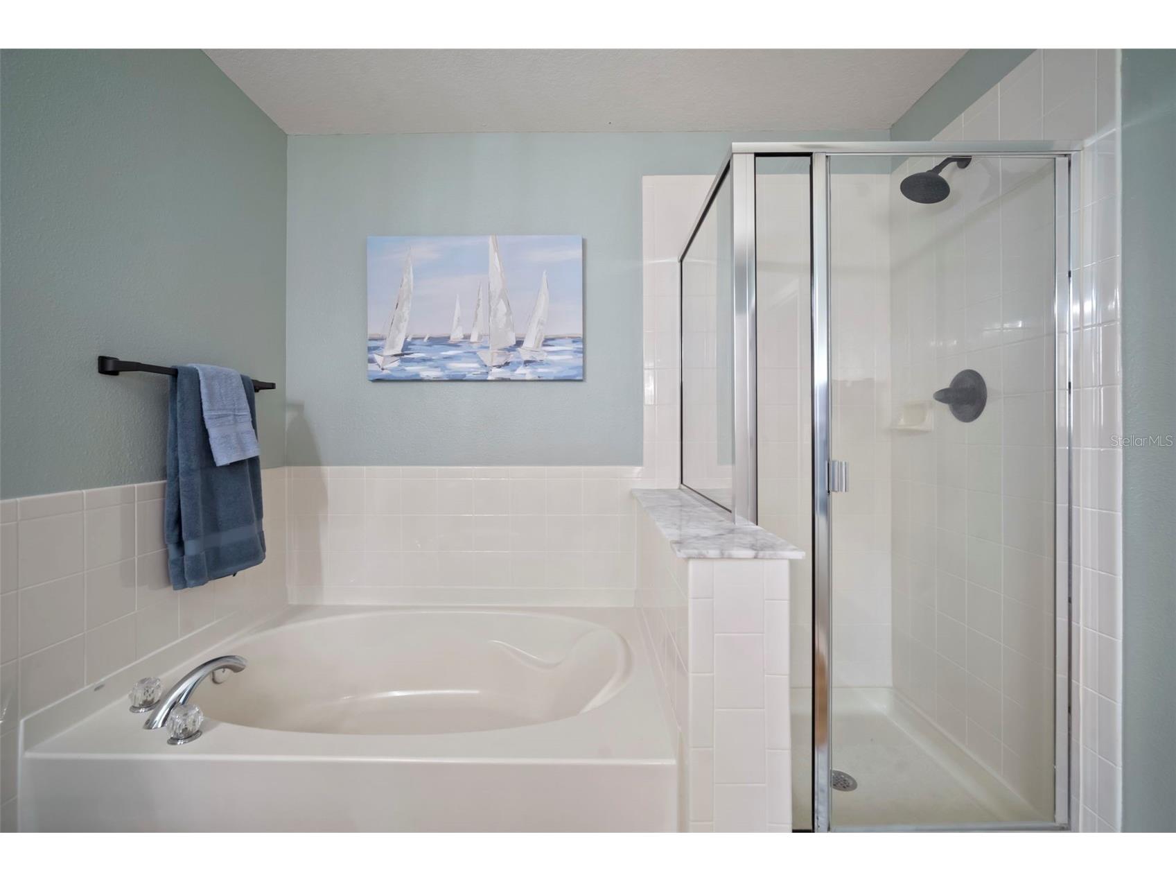 3434 Tarbolton Way Land O Lakes FL 34638 TB8464707 image44