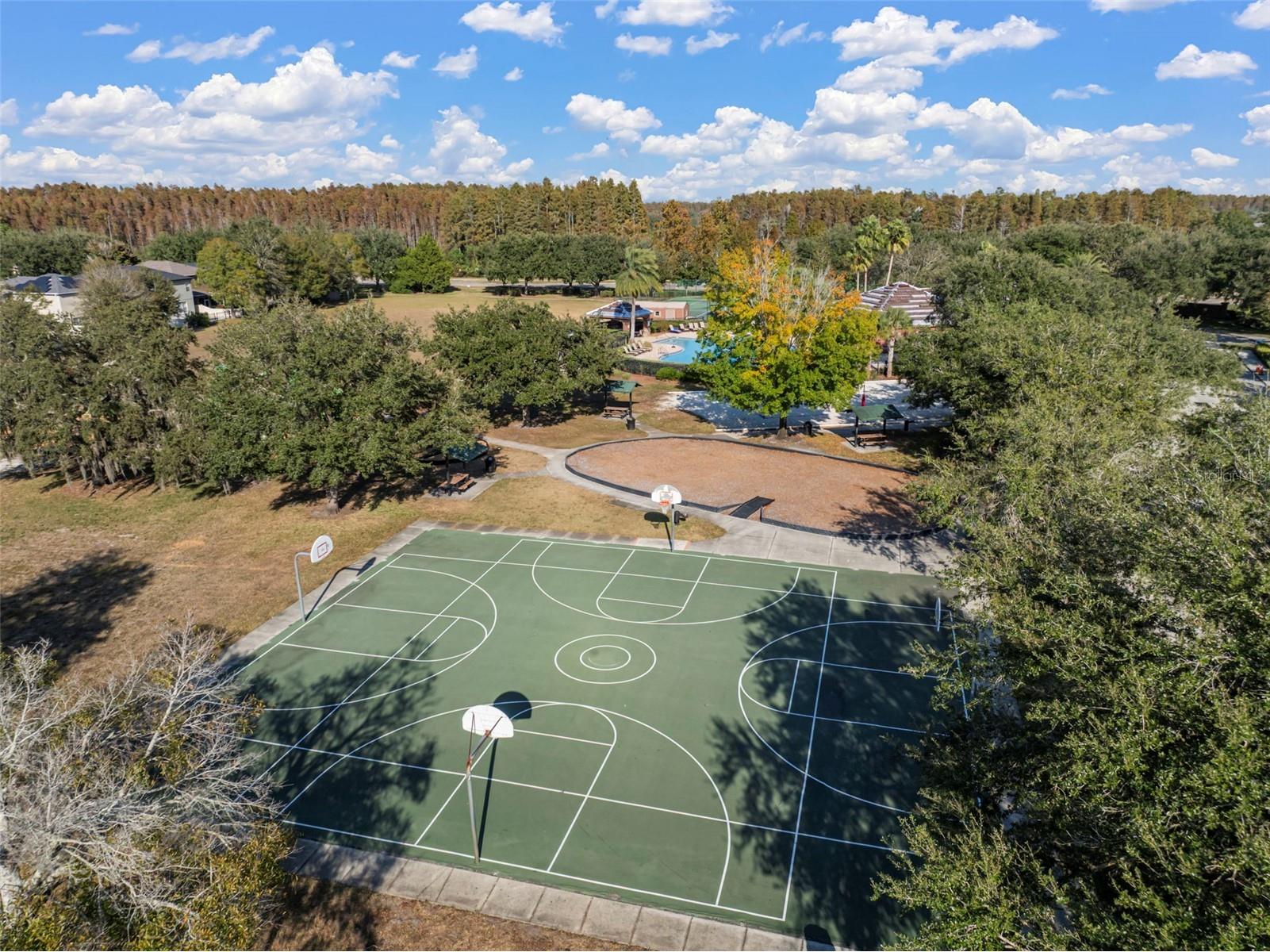 3434 Tarbolton Way Land O Lakes FL 34638 TB8464707 image55