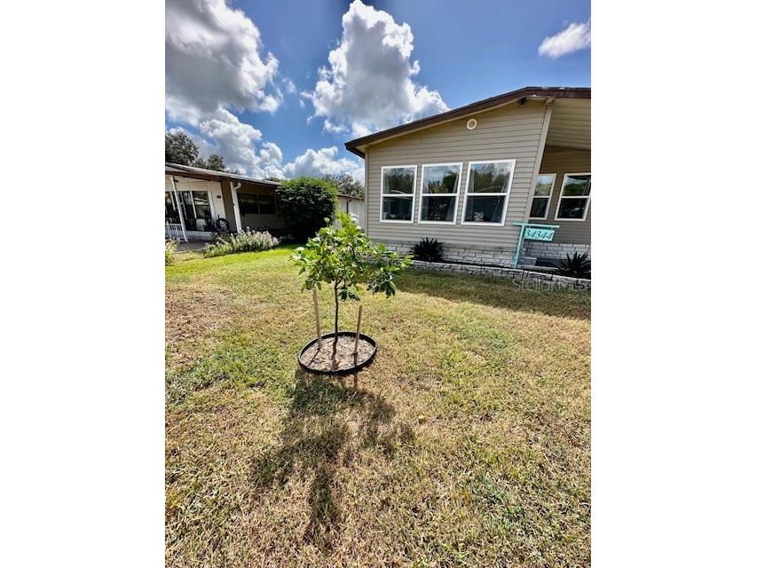 34344 Timberland Boulevard Wesley Chapel FL 33543 TB8355187 image31