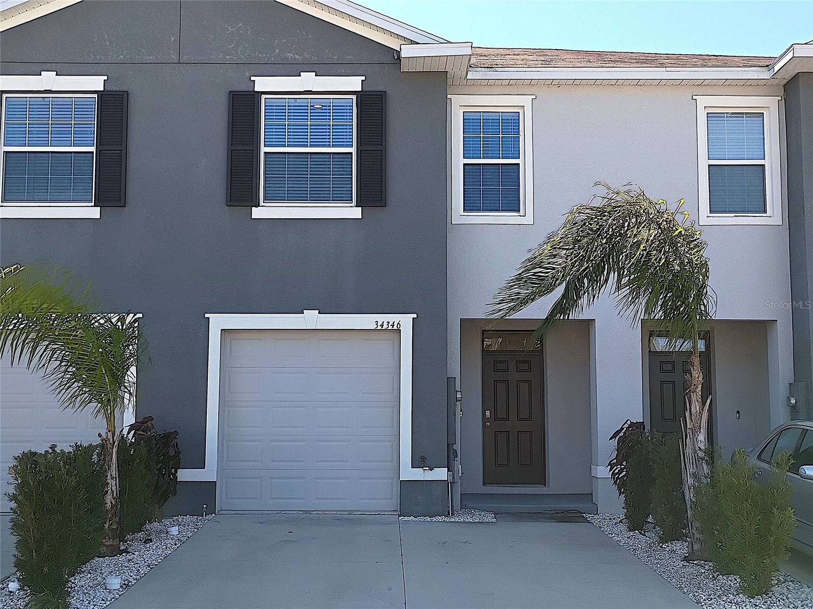 34346 Redwood Dawn Lane Wesley Chapel FL 33543 TB8474580 image2