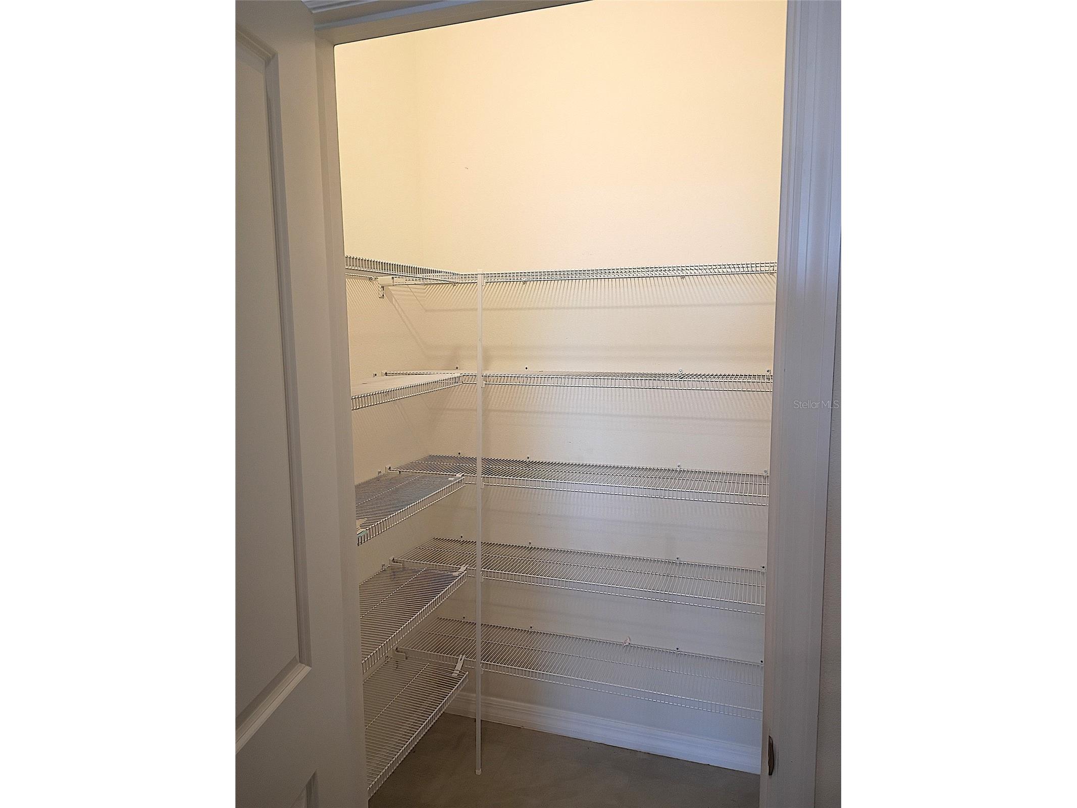 34346 Redwood Dawn Lane Wesley Chapel FL 33543 TB8474580 image20