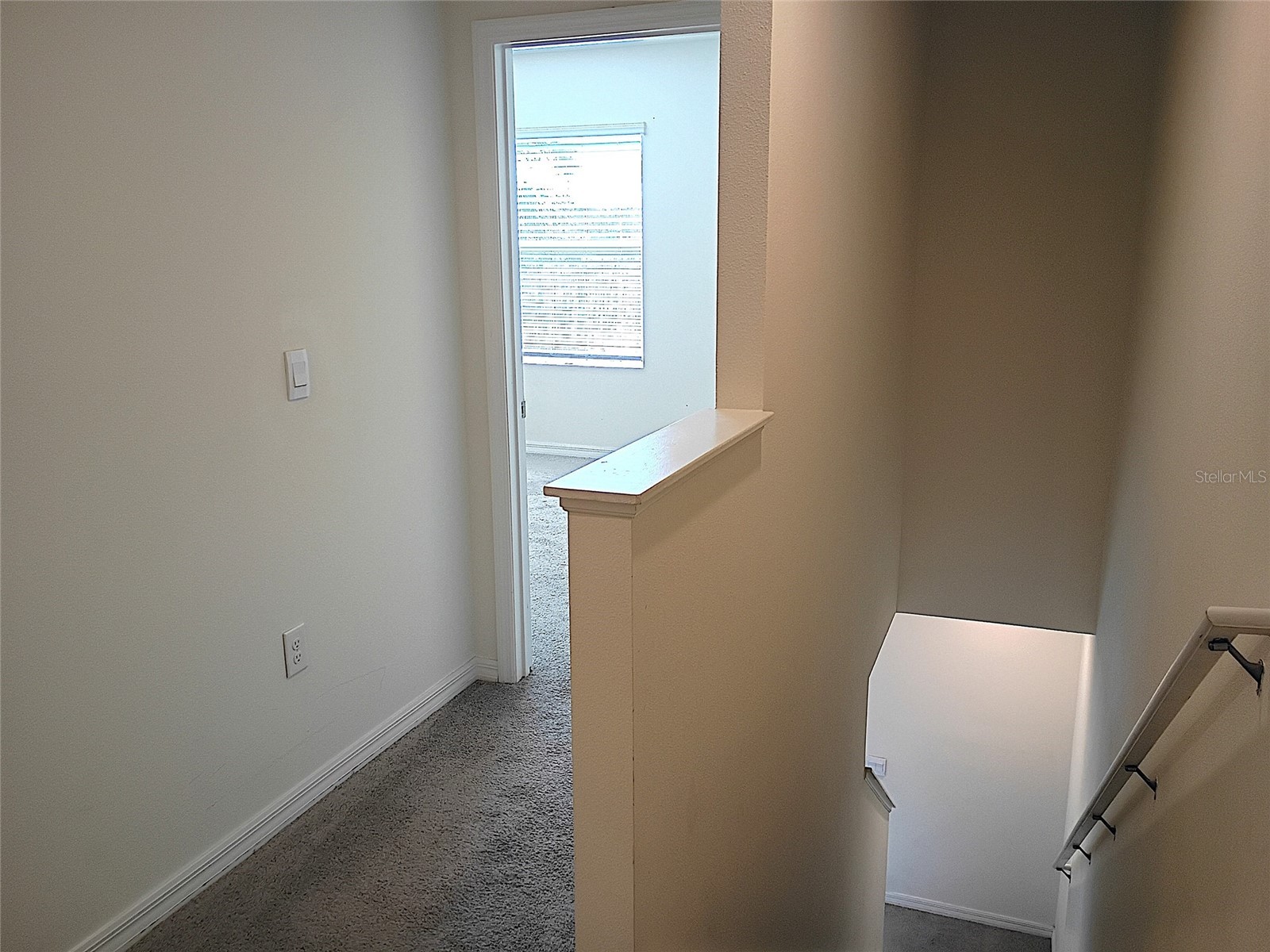 34346 Redwood Dawn Lane Wesley Chapel FL 33543 TB8474580 image21