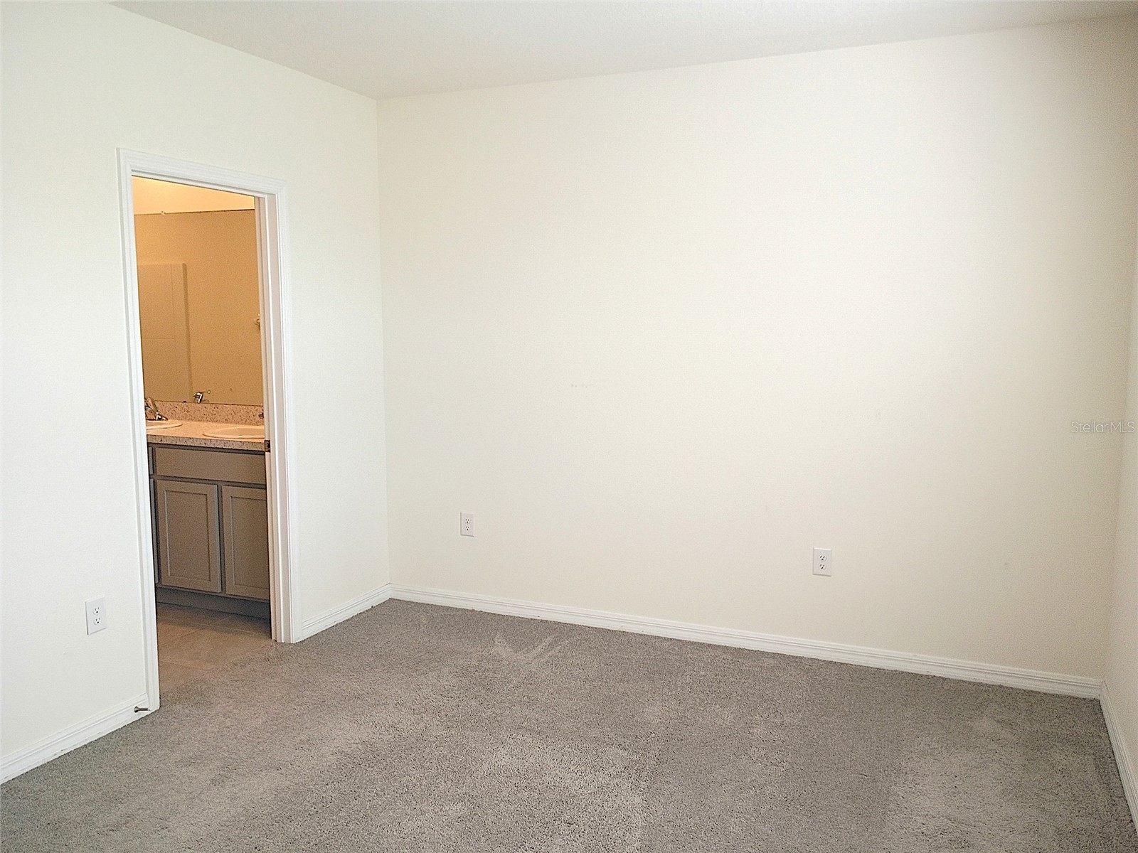 34346 Redwood Dawn Lane Wesley Chapel FL 33543 TB8474580 image23