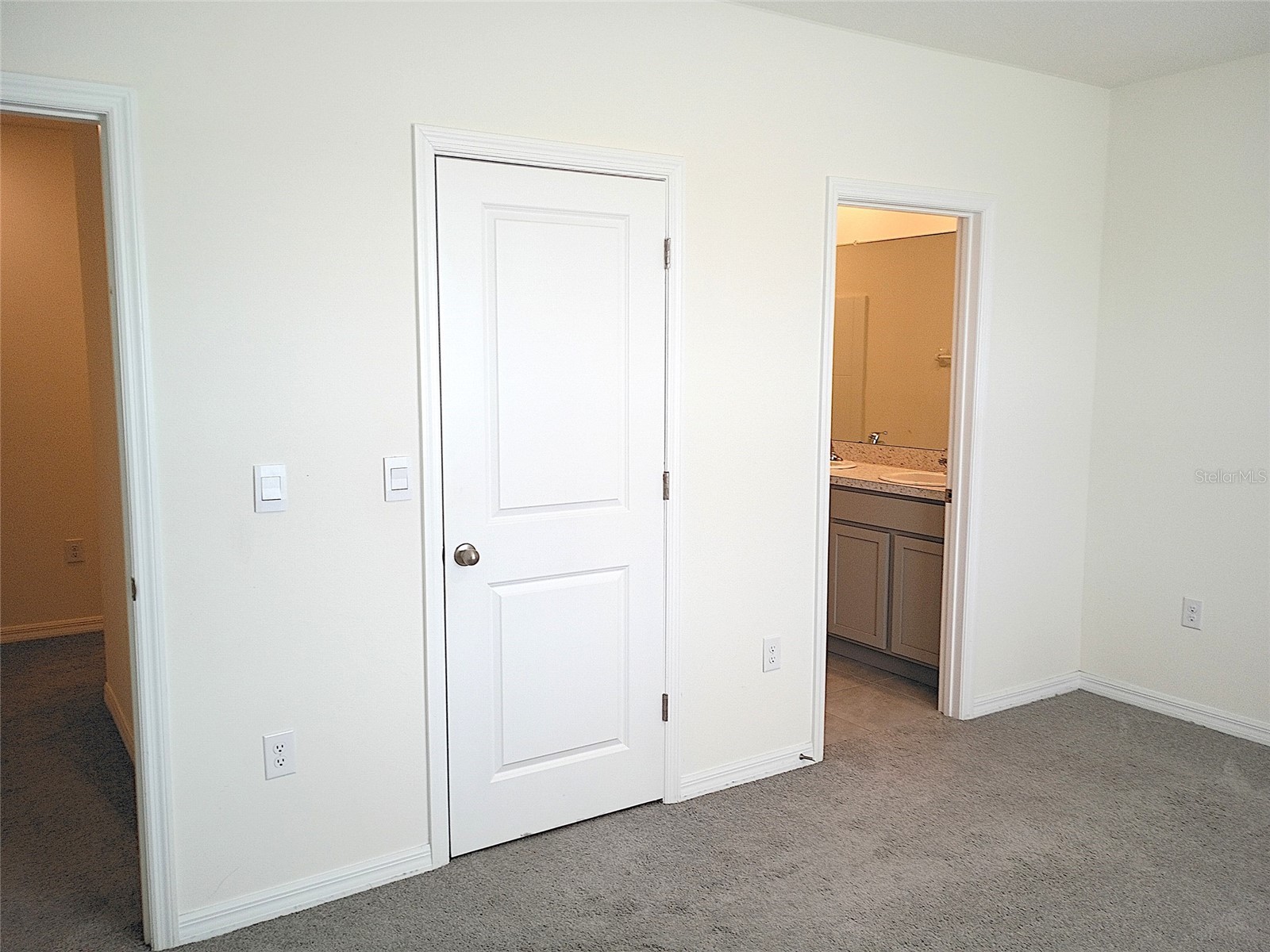 34346 Redwood Dawn Lane Wesley Chapel FL 33543 TB8474580 image24