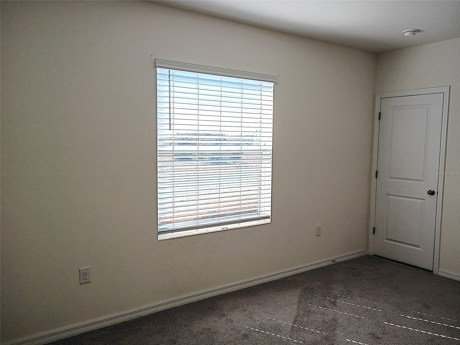 34346 Redwood Dawn Lane Wesley Chapel FL 33543 TB8474580 image26