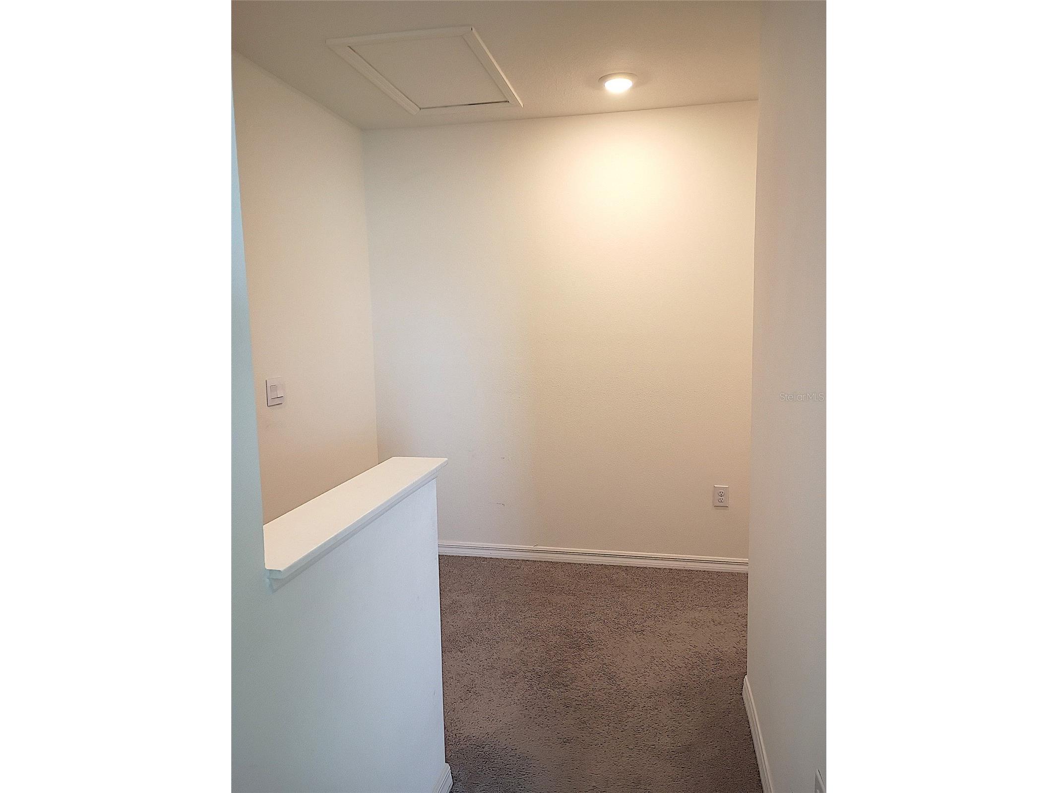34346 Redwood Dawn Lane Wesley Chapel FL 33543 TB8474580 image29