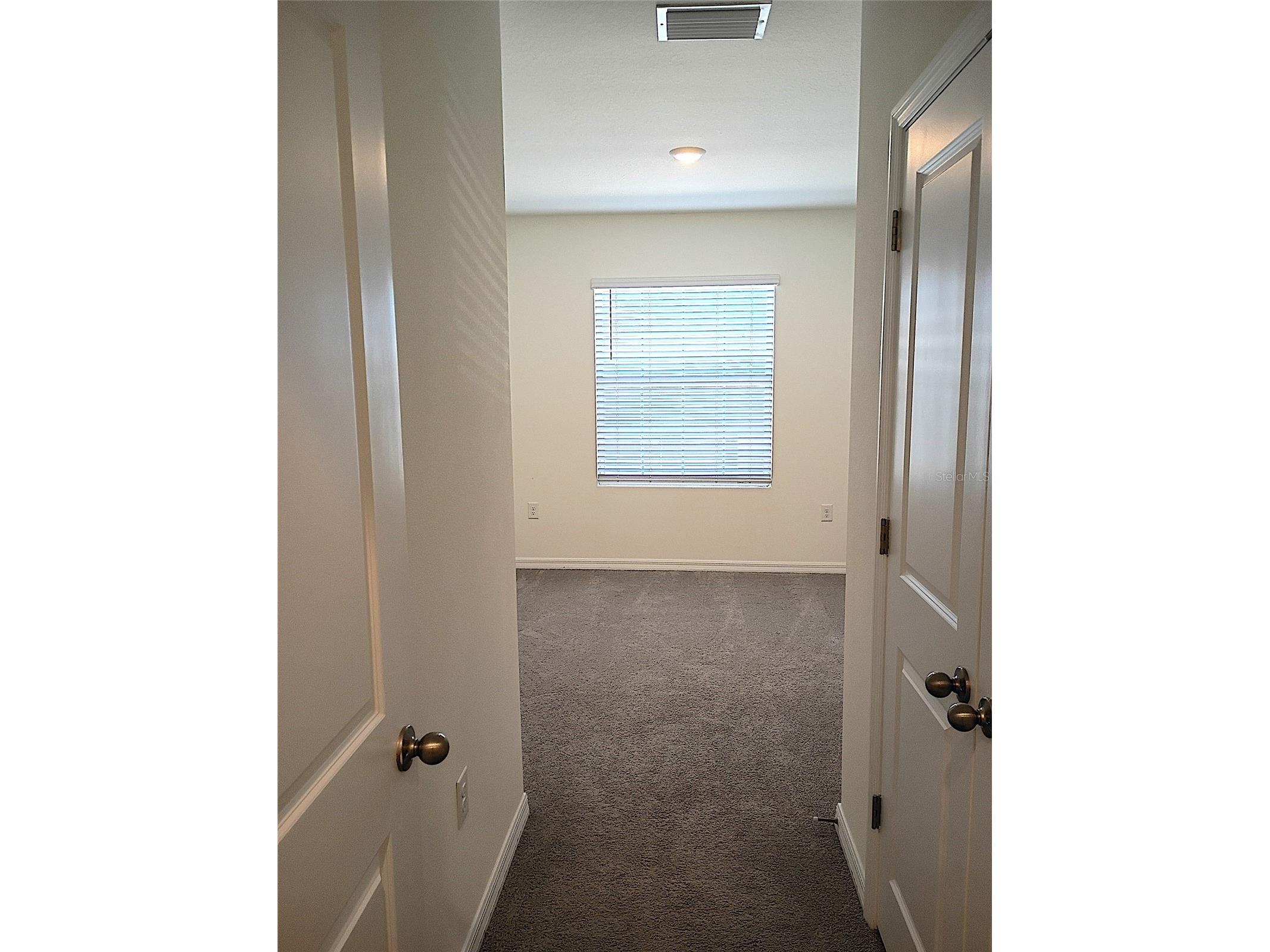34346 Redwood Dawn Lane Wesley Chapel FL 33543 TB8474580 image35
