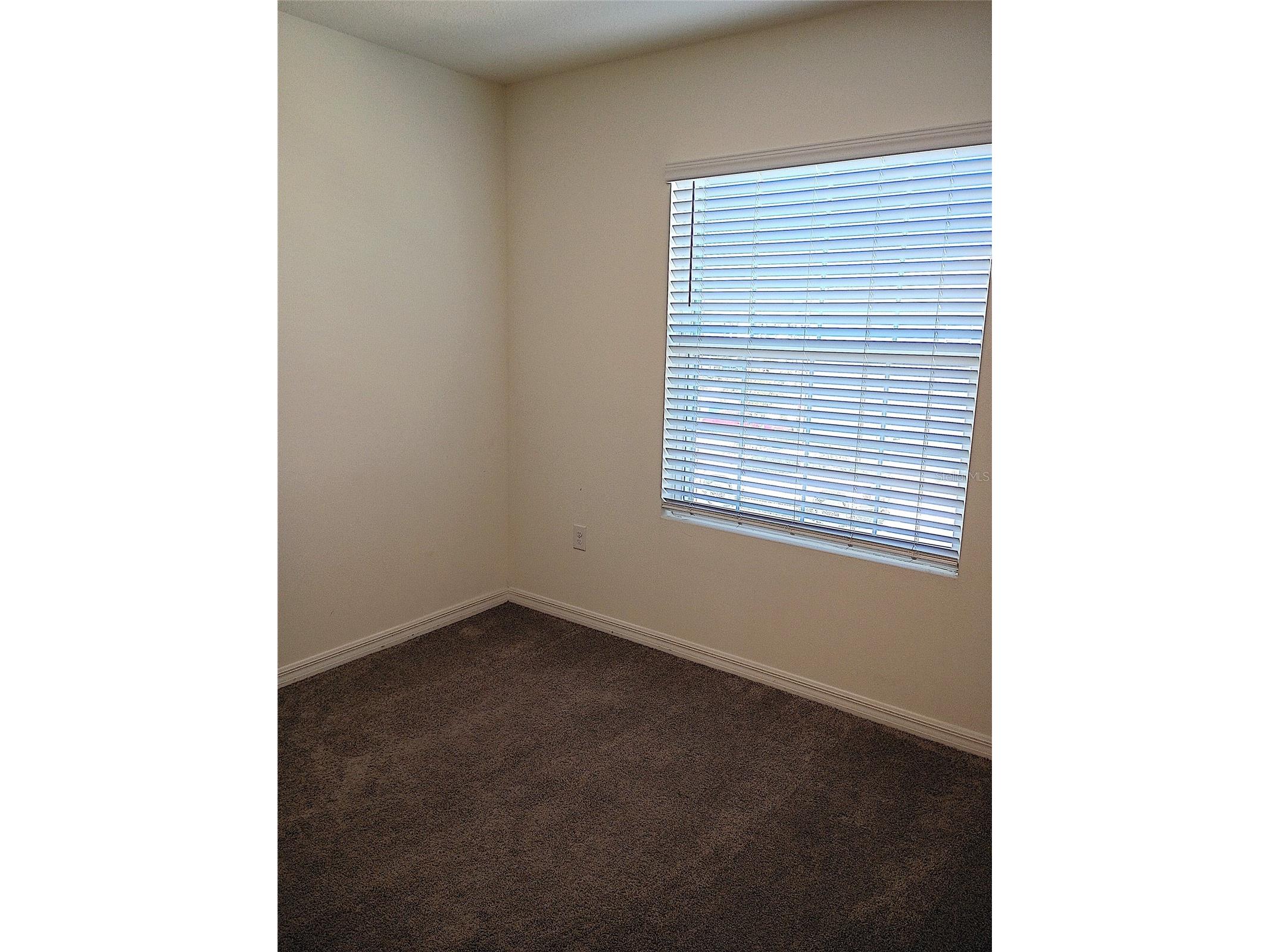 34346 Redwood Dawn Lane Wesley Chapel FL 33543 TB8474580 image37