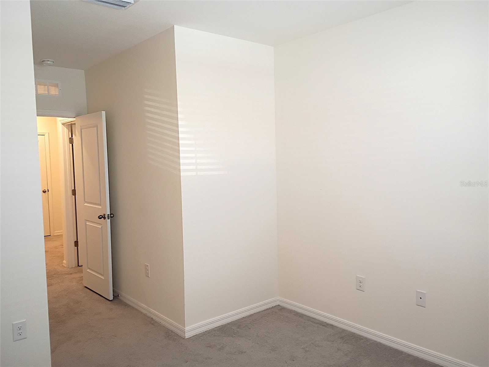 34346 Redwood Dawn Lane Wesley Chapel FL 33543 TB8474580 image39