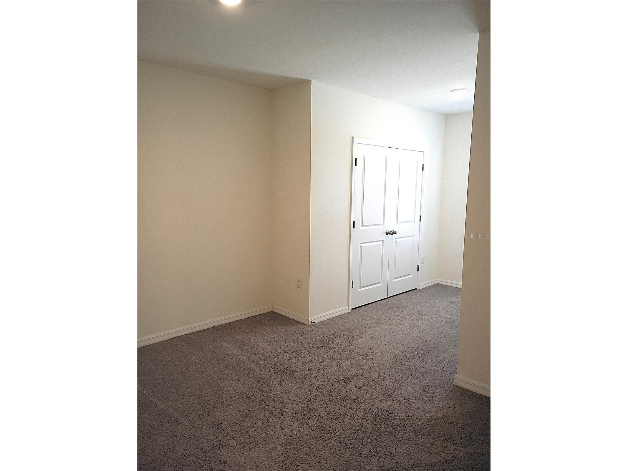 34346 Redwood Dawn Lane Wesley Chapel FL 33543 TB8474580 image40