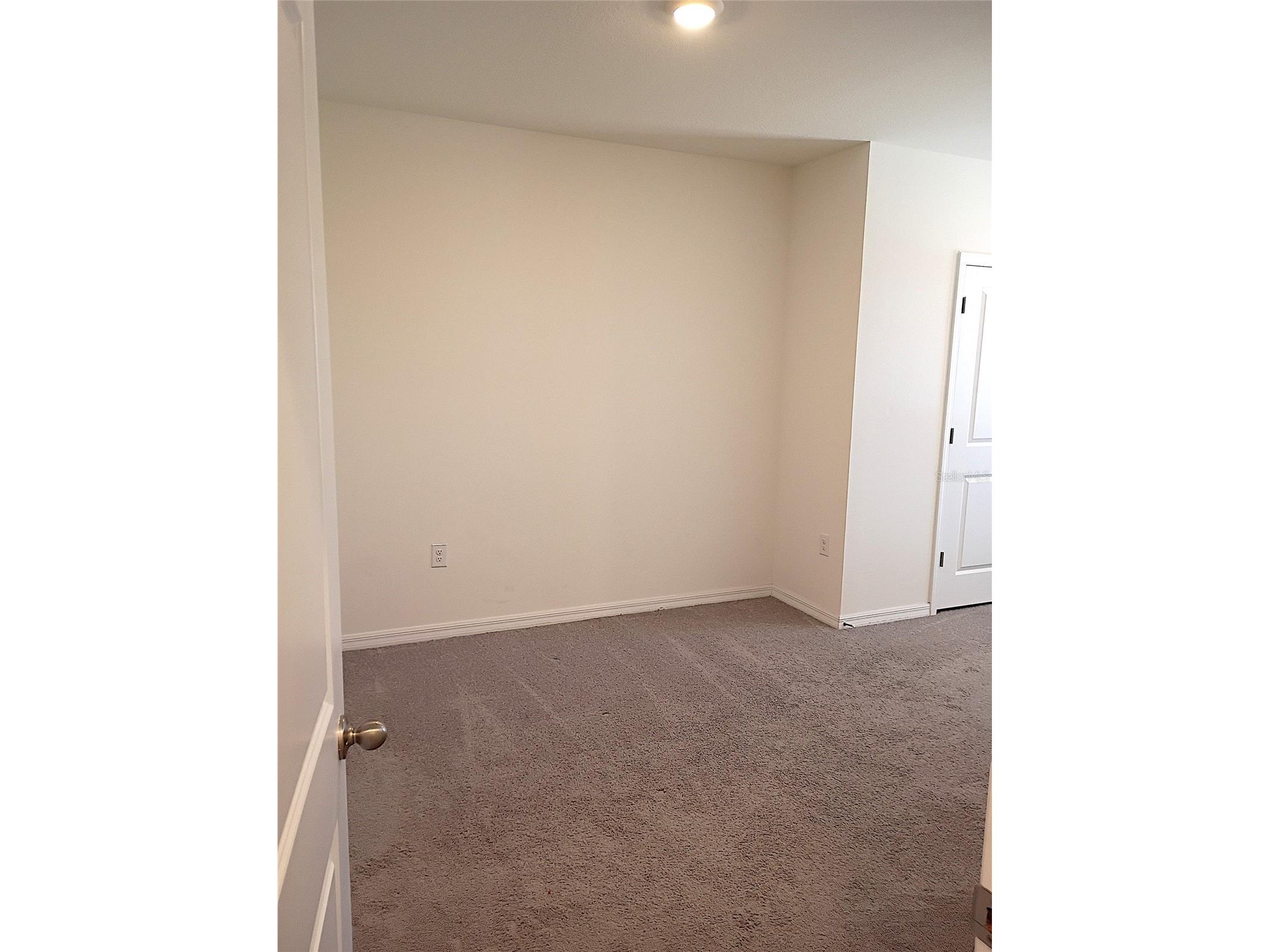34346 Redwood Dawn Lane Wesley Chapel FL 33543 TB8474580 image41