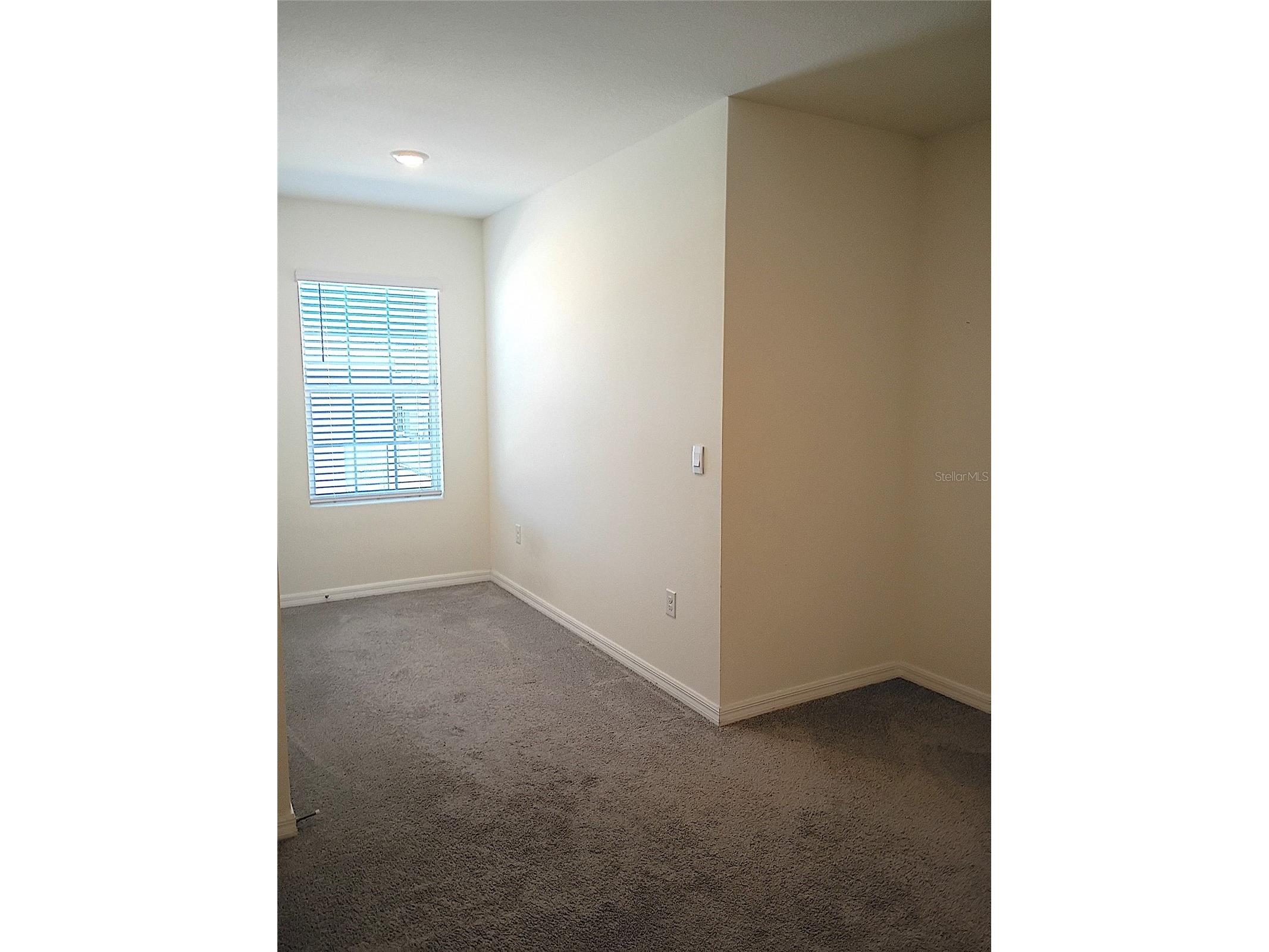 34346 Redwood Dawn Lane Wesley Chapel FL 33543 TB8474580 image42