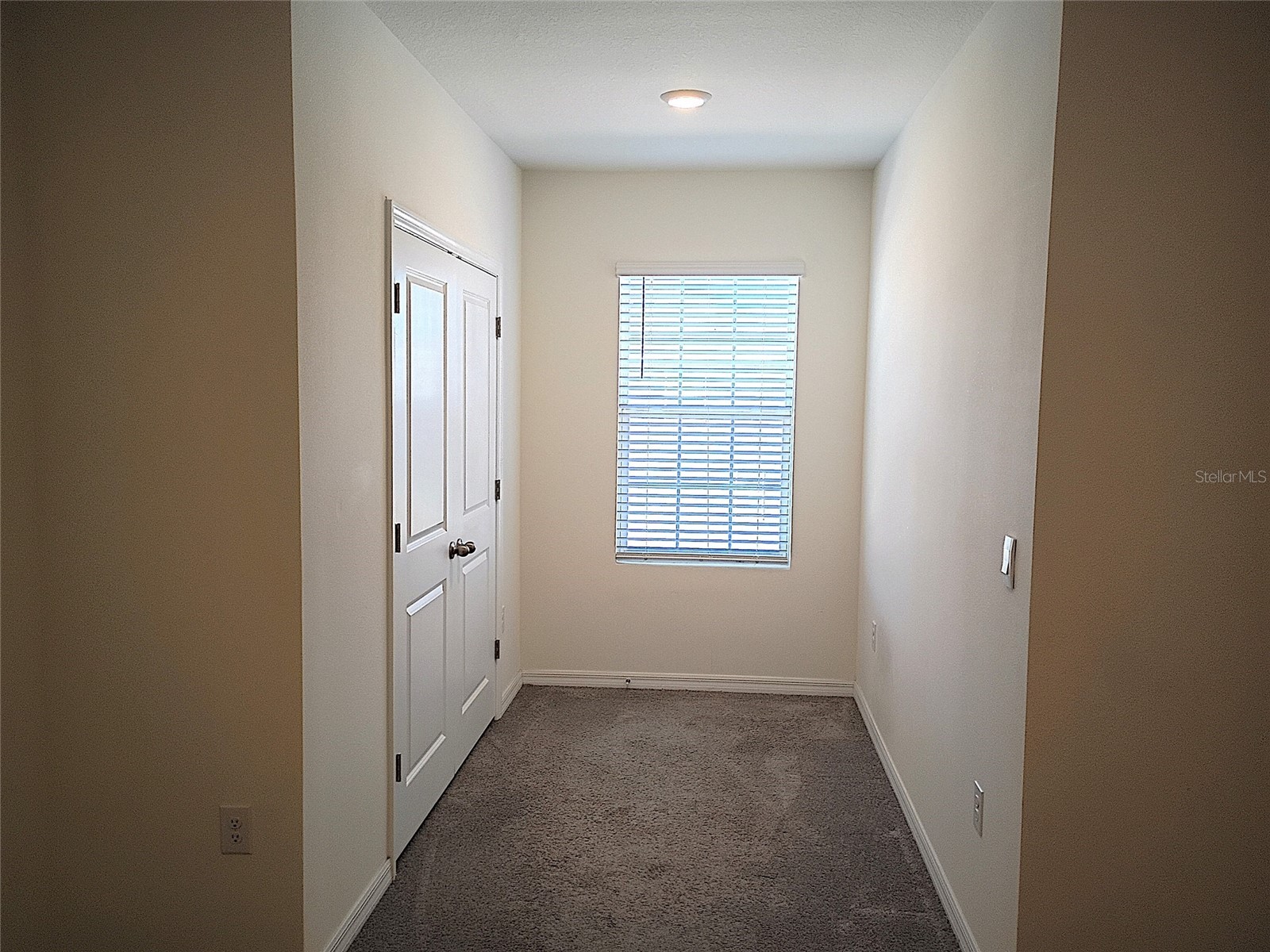 34346 Redwood Dawn Lane Wesley Chapel FL 33543 TB8474580 image43