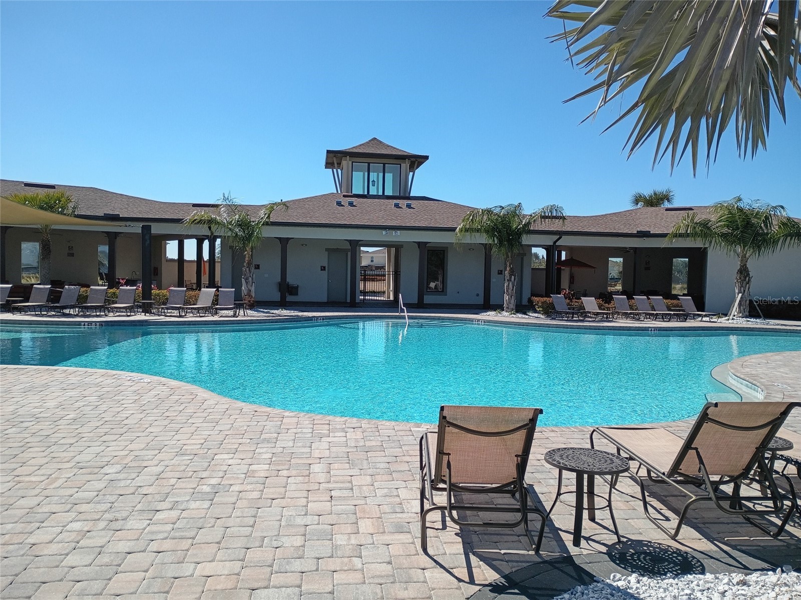 34346 Redwood Dawn Lane Wesley Chapel FL 33543 TB8474580 image54