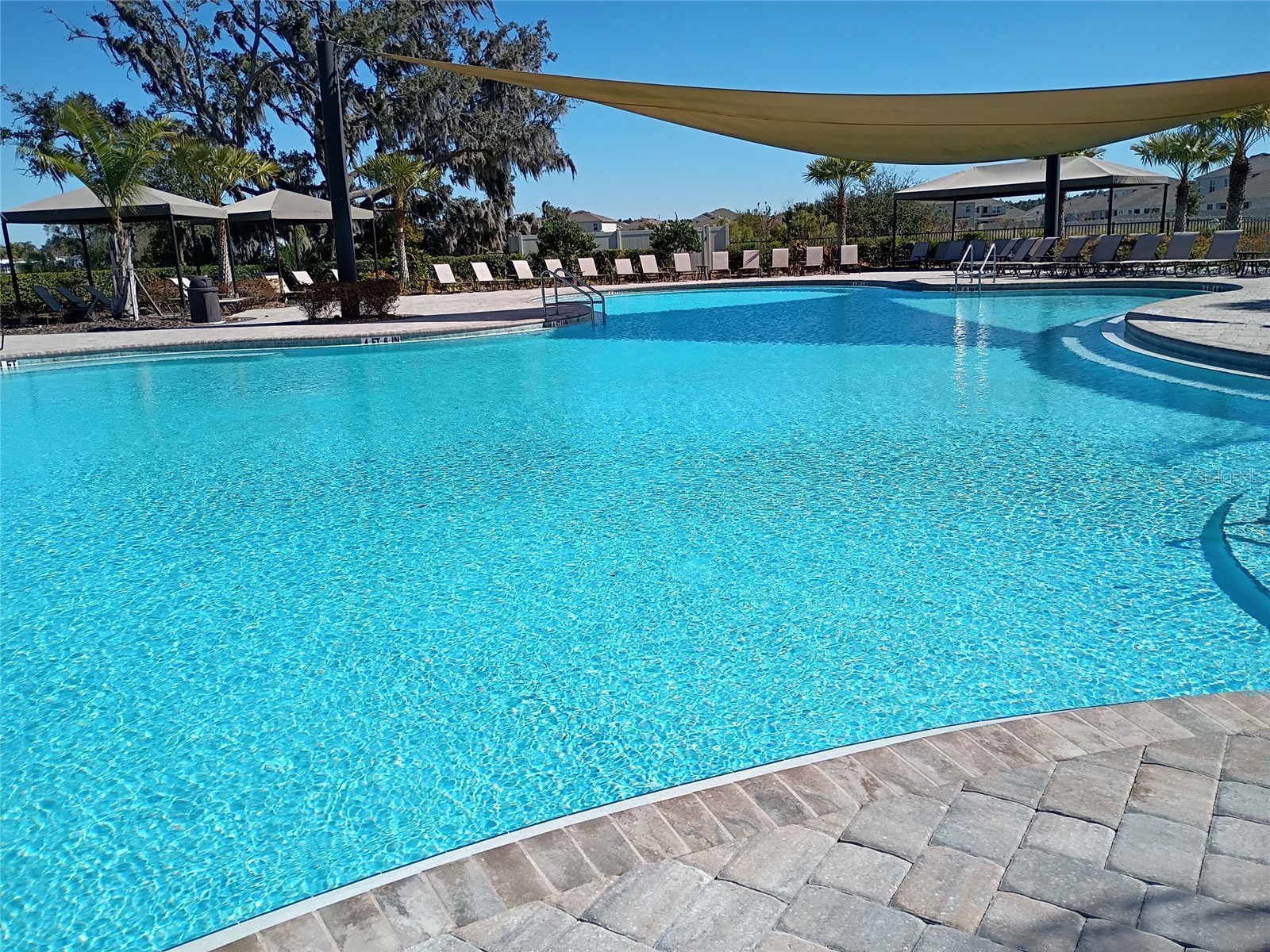 34346 Redwood Dawn Lane Wesley Chapel FL 33543 TB8474580 image56