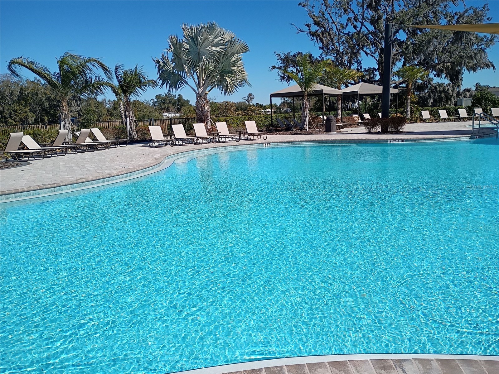 34346 Redwood Dawn Lane Wesley Chapel FL 33543 TB8474580 image58