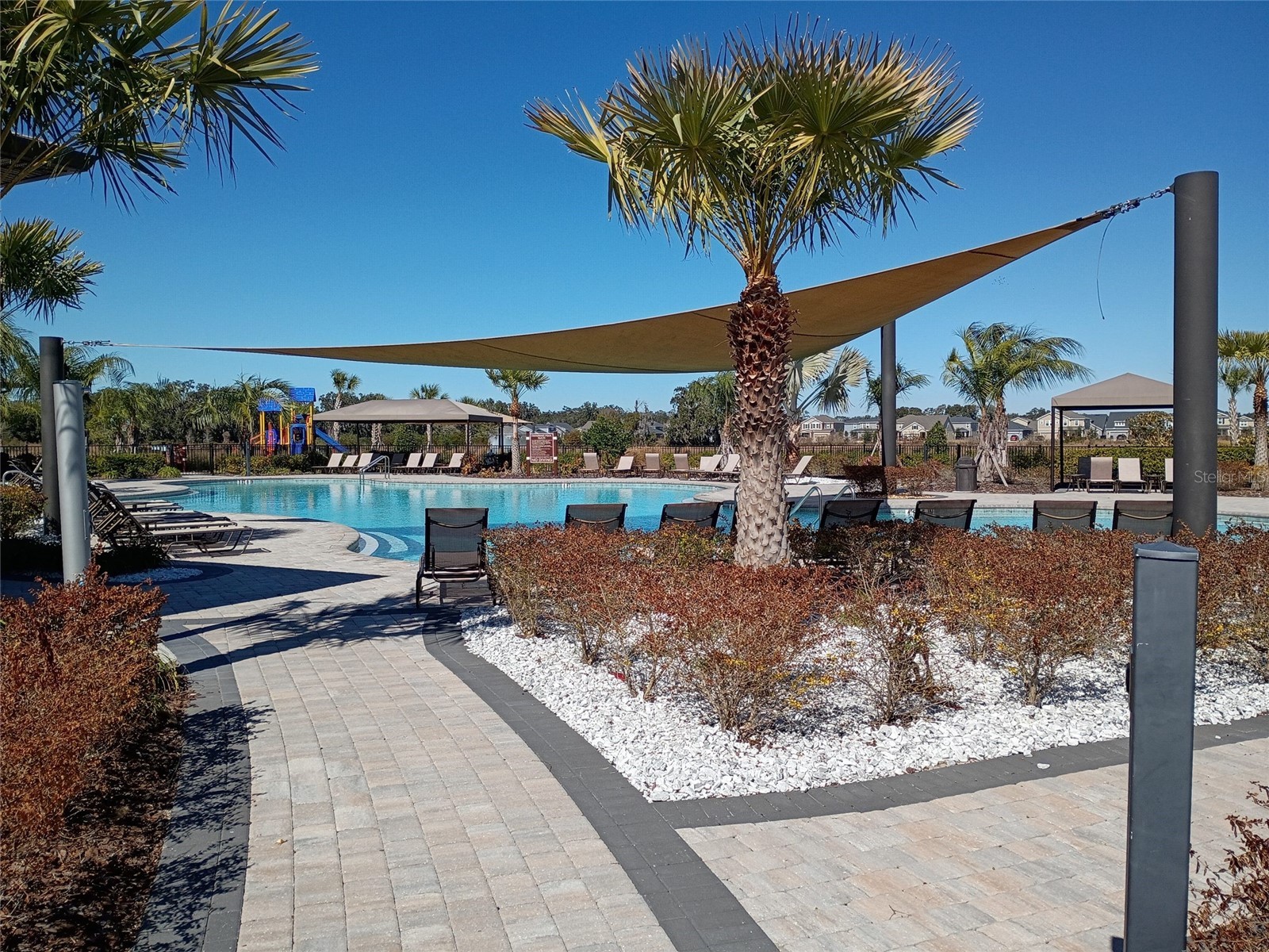 34346 Redwood Dawn Lane Wesley Chapel FL 33543 TB8474580 image59