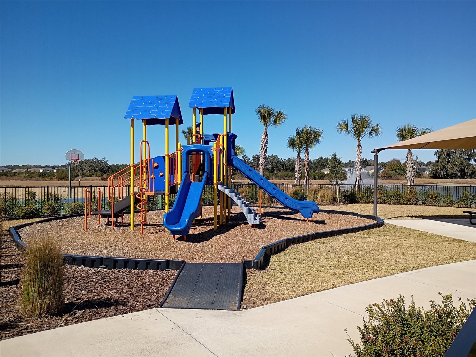 34346 Redwood Dawn Lane Wesley Chapel FL 33543 TB8474580 image61
