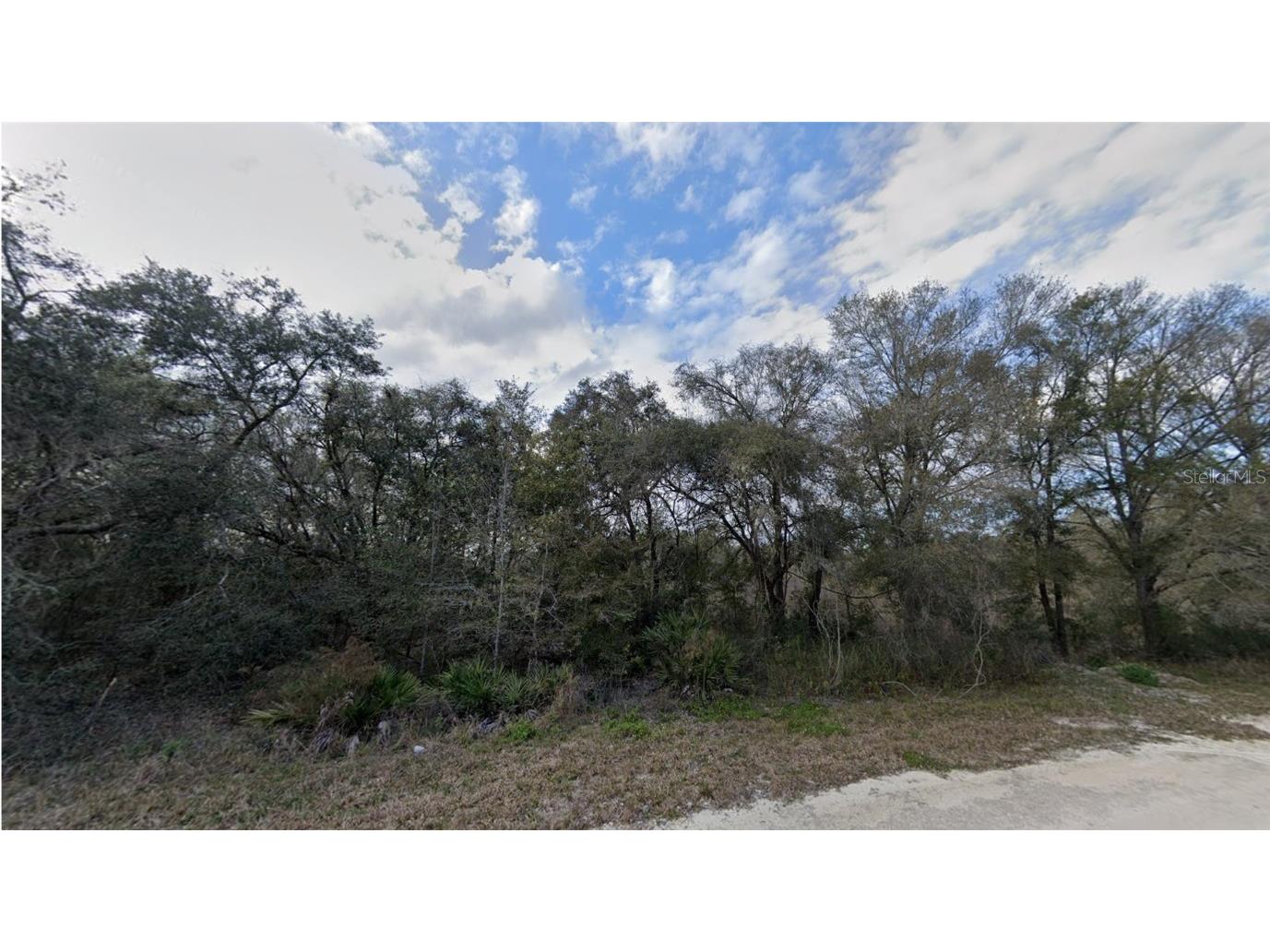 34348 Broken Stone Street Webster FL 33597 C7474647 image1