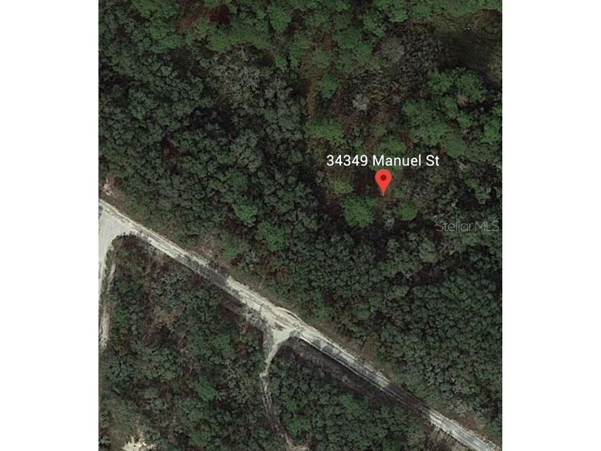 34349 Manuel Street Webster FL 33597 U8243562 image1