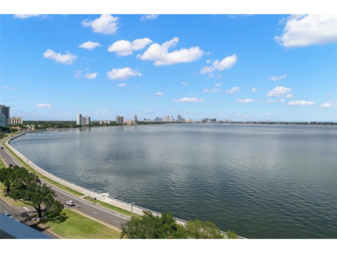 3435 Bayshore Boulevard #1100N Tampa FL 33629 - TAMPA BAY T3441546 image1