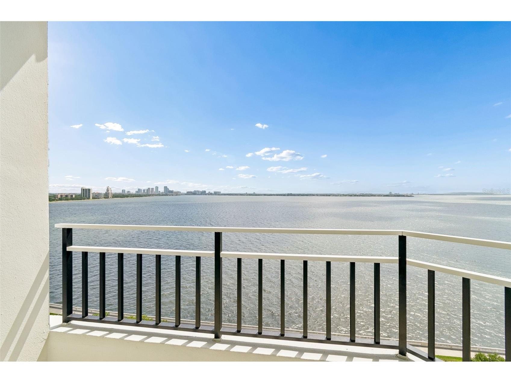 3435 Bayshore Boulevard #1401S Tampa FL 33629 - TAMPA BAY TB8512822 image36