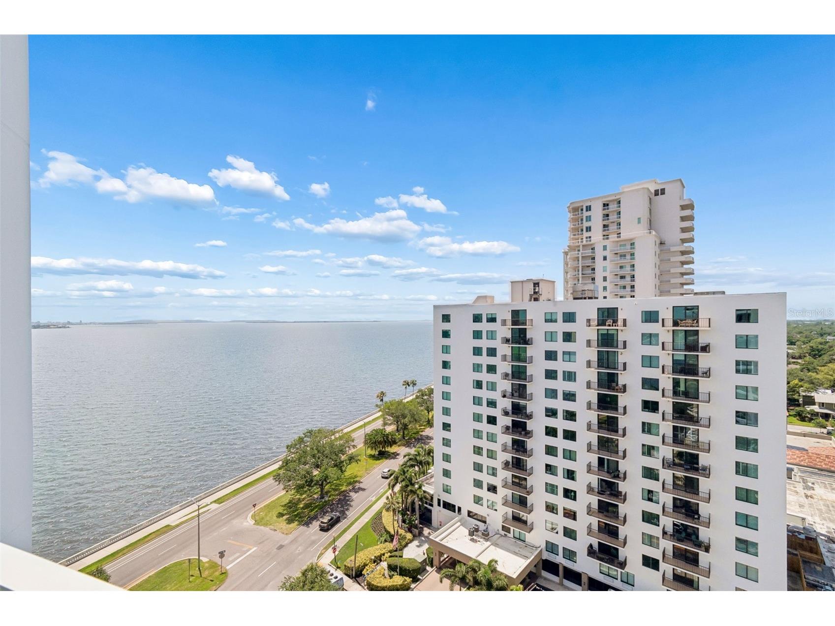3435 Bayshore Boulevard #1401S Tampa FL 33629 - TAMPA BAY TB8512822 image38