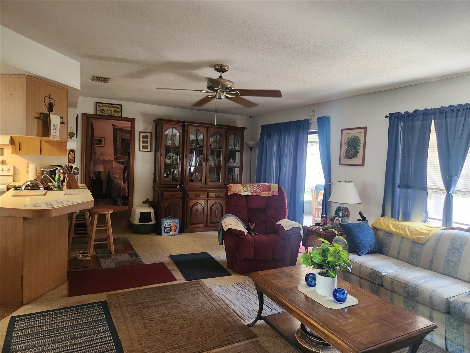 3435 Charmwood Avenue Spring Hill FL 34609 TB8526647 image4