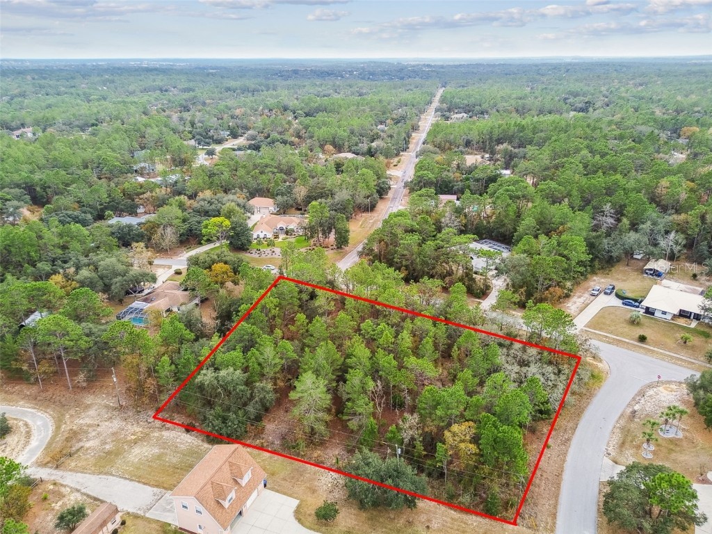 3435 W Danny Court Beverly Hills FL 34465 O6364548 image3