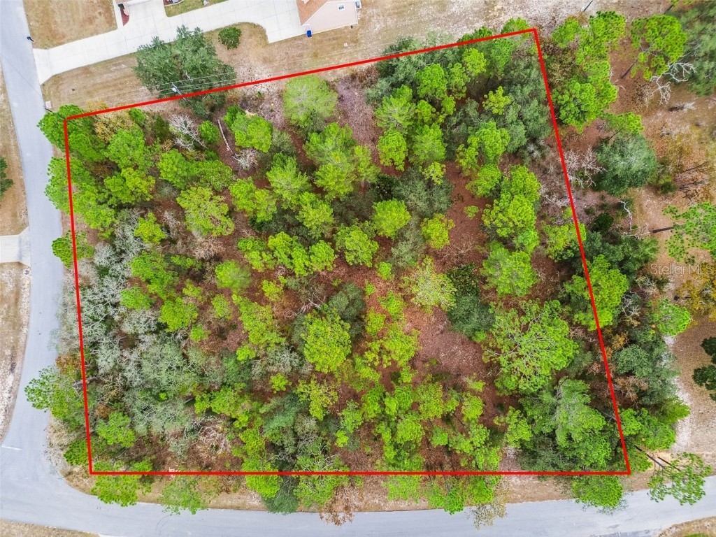 3435 W Danny Court Beverly Hills FL 34465 O6364548 image4