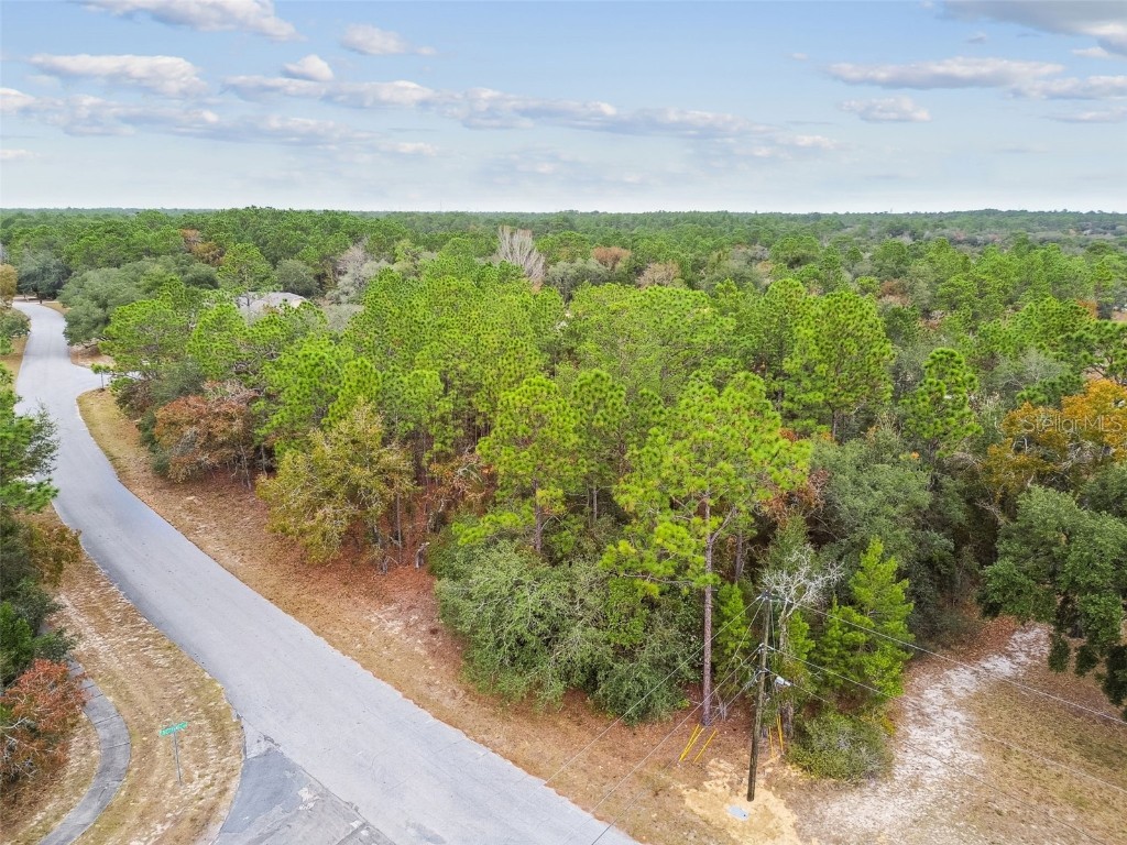 3435 W Danny Court Beverly Hills FL 34465 O6364548 image5