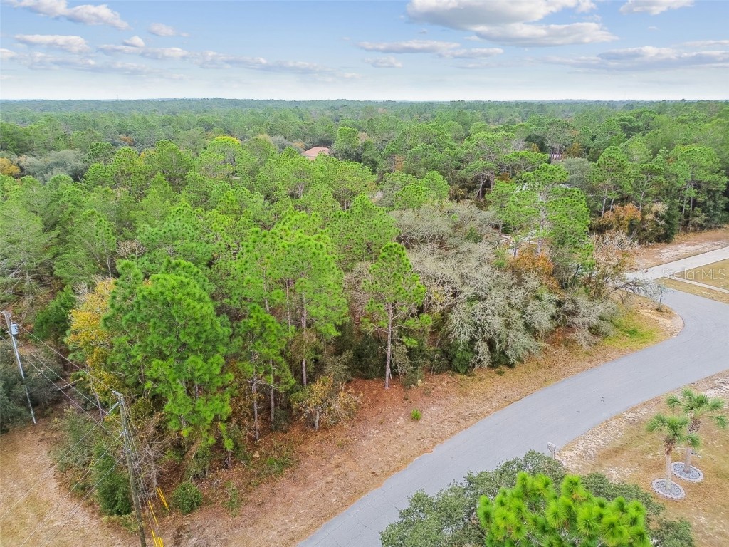 3435 W Danny Court Beverly Hills FL 34465 O6364548 image6