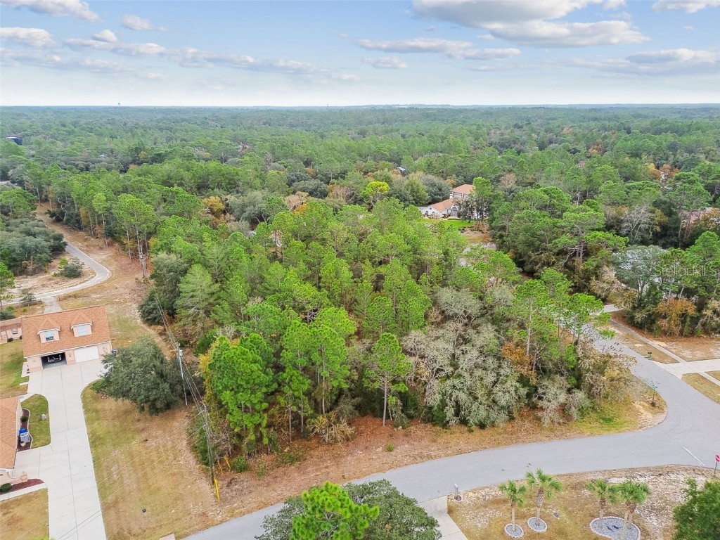 3435 W Danny Court Beverly Hills FL 34465 O6364548 image7